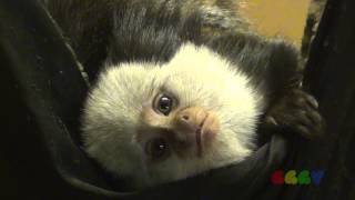 유튜브 테스트 영상