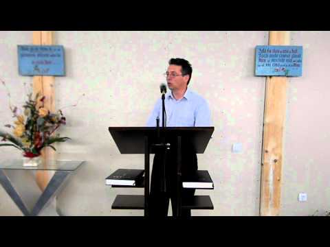 Vizita fratelui Vasile Berar