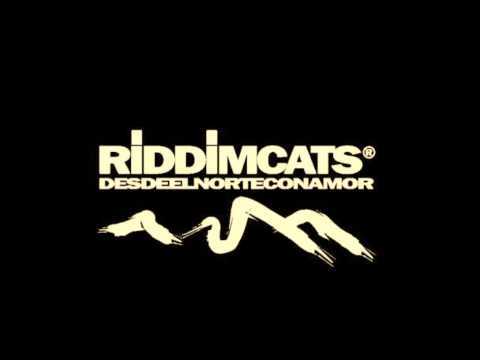 Esas noches - Riddim cats
