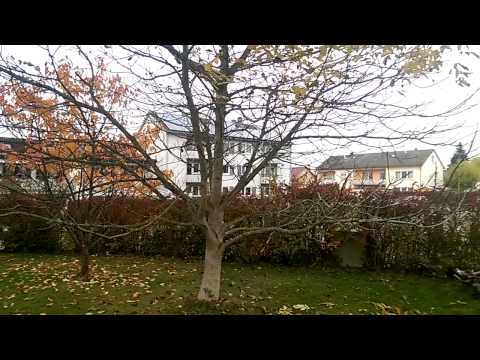 Wetter in Munderkingen