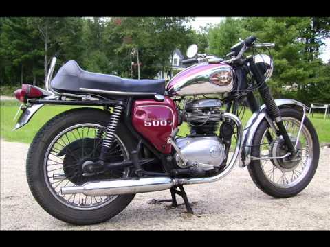 John Laus u Ringu - Tigrija bejn zewg muturi