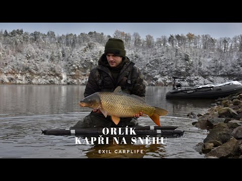 Orlík - kapři na sněhu