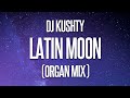 Latin Moon Organ Remix