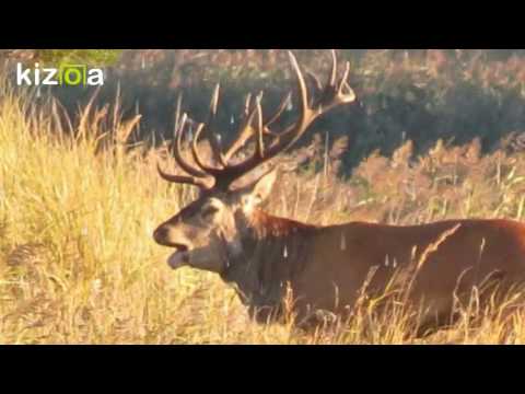 DDR-Kinderlied: Unsere Heimat...