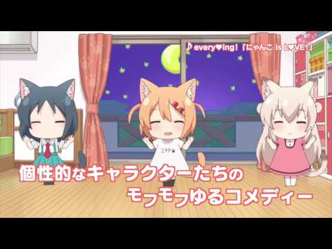 nyanko days - Trailer