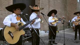 Mariachi Peralta, Guantanamera, Ferrara Buskers Festival 2011