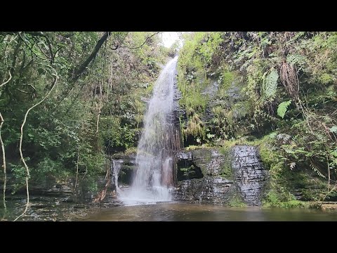 Fall Asleep And Overcome Stress With Waterfall Sound | Dona's Waterfall | Luminárias-MG