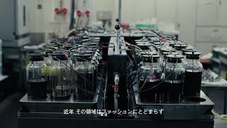 Co-mt. | KOMATSU MATERE