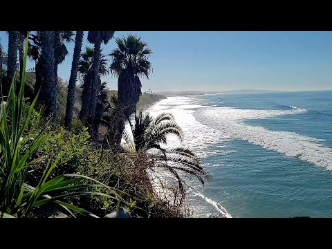Swami Beach is a very popular surfing destination in Encinitas California