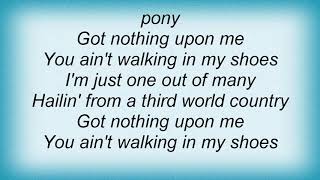 Shaggy - Walking In My Shoes Lyrics