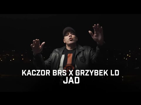 Kaczor BRS ft. Grzybek LD - Jad
