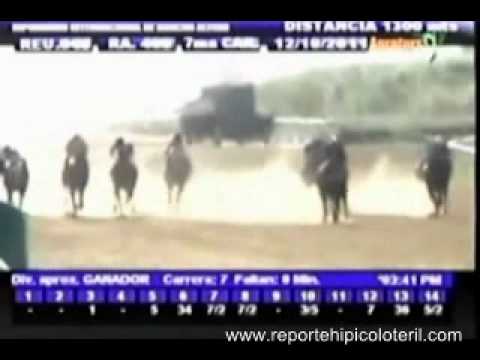 Resumen Miércoles 12 de Octubre de 2011 - Rancho Alegre