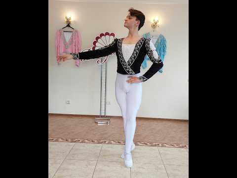 Siegfried - 1st act P 0107 - video 3