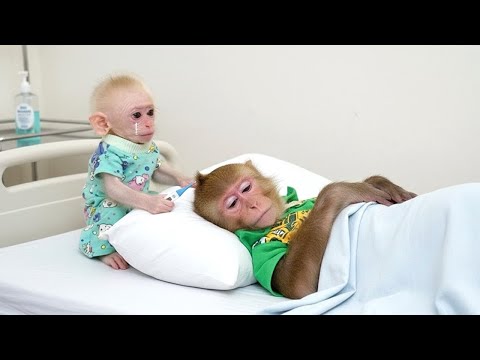 LaLa Notices Bibi Is Tired and Calls Mom, Then Asks for a Bath Because She Feels Itchy