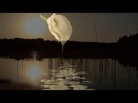 GỬI NGƯỜI EM GÁI