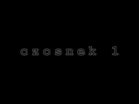 CZOSNEK 1 - ekipa