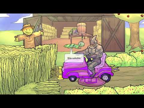 Streptococcus Pneumoniae for the USMLE Step 1