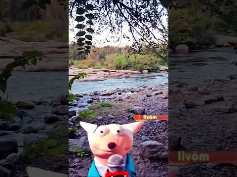 La dimensión hermosa y desconocida... Río Anisacate- CBA #cordoba #argentina #rio