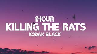 Kodak Black - Killing The Rats (1Hour)