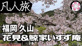 【凡人旅】お花見＆蕎麦を食べに行く