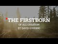 The Firstborn of All Creation - David Gooding