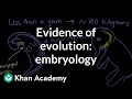 Evidence of evolution: embryology | Evolution | Middle school biology | Khan Academy