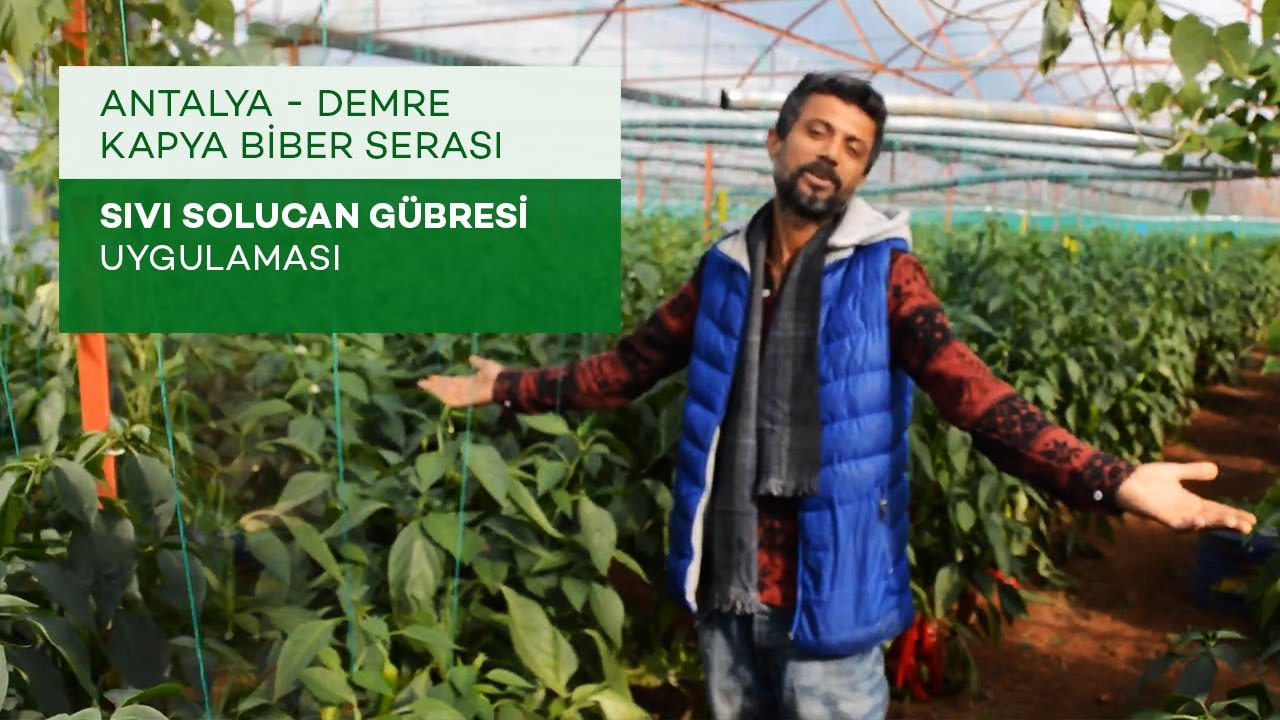 2. Bölüm Demre'de Kapya Biber Denemesi