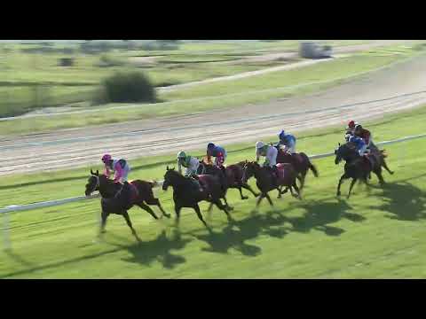 2023.09.02. 8. Futam - SZERENCSEJÁTÉK ZRT. – KINCSEM DÍJ (HUN Gd-1) (NGL-VII.)