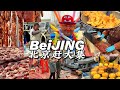 Explore Beijing's Traditional Market: Fresh Food & Unique Eats!