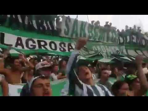 "Vamos todos juntos la hinchada y los jugadores" Barra: Los del Sur • Club: Atlético Nacional