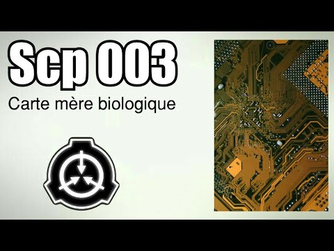 Scp 003 carte mère biologique