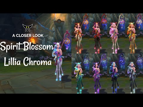 Spirit Blossom Lillia Chromas