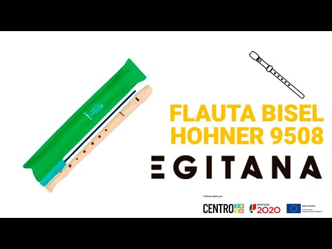 Flauta Bisel Hohner 9508 | Egitana #shorts