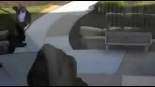 Strong man war wild goose! Come on, fight like a man