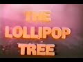 The Lollipop Tree - Dr. Graham's Homes Kalimpong