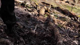 Wash on By • LA STRADA