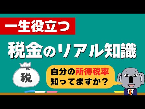 税金の馬について詳しく解説