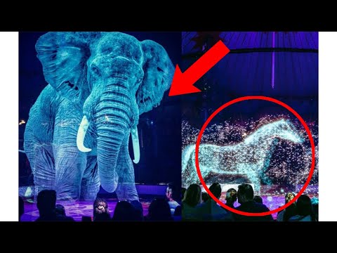 Der deutsche Zirkus Roncalli weigerte sich, Tiere in seinen Aufführungen einzusetzen und fand einen