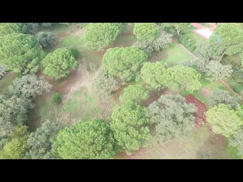 Terreno na Herdade do Zambujeiro