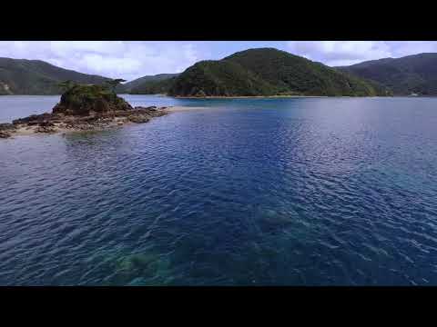 加計呂麻島 加計呂麻のシュノーケリング