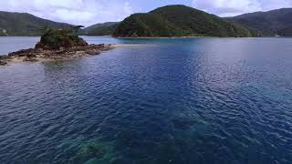 加計呂麻島 加計呂麻のシュノーケリング（Kakeromajima Island - Kakeroma Snorkeling）