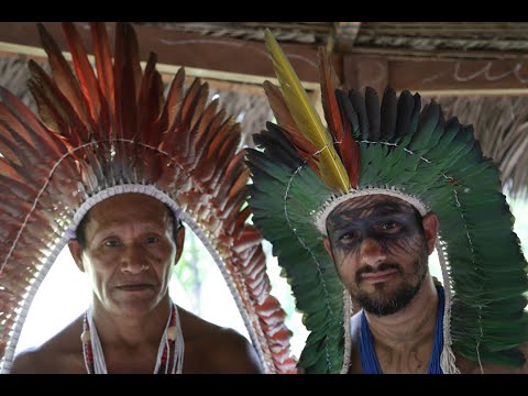 Ayahuasca - Medicina da Floresta. Veja o ritual de Ayahuasca dos Yawanawá no Pop Station Expedition.