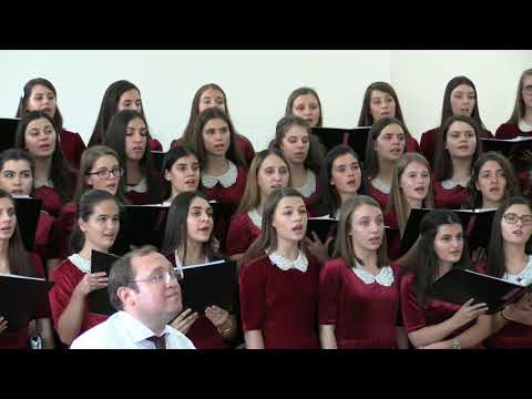 Corul LTA - Valuri muginde