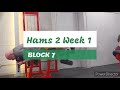 DVTV: Block 7 Hams 2 Wk 1