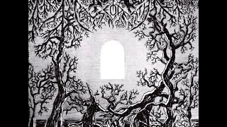 Cause of Death - Inside, the Parliament of Wills