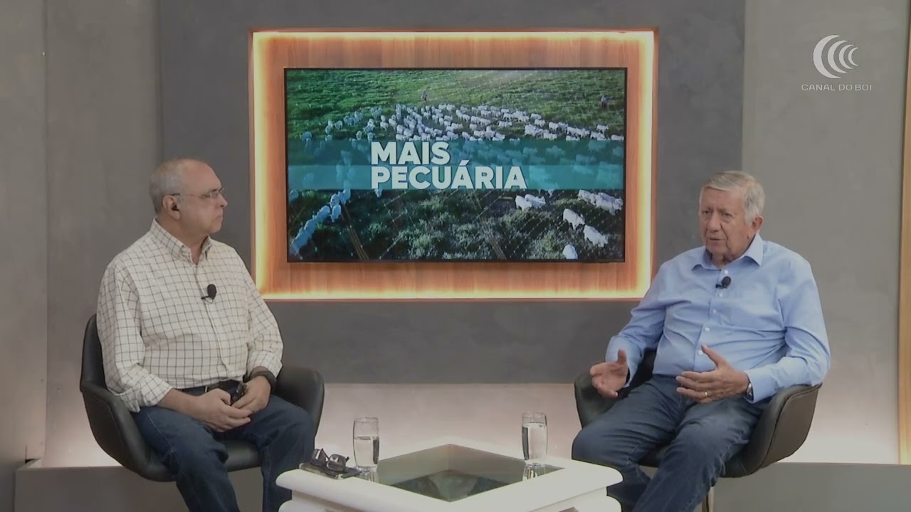 Brasil cria novo protocolo para voltar a exportar carne bovina à UE