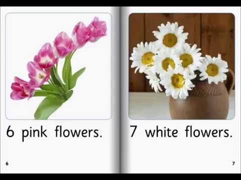 Learn to count flowers- identify colours