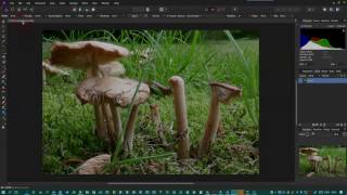 Focus Stacking using Affinity Photo for Windows