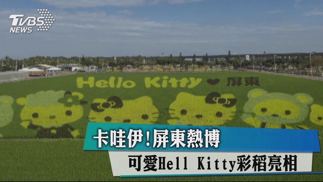 卡哇伊!屏東熱博 可愛Hello Kitty彩稻亮相