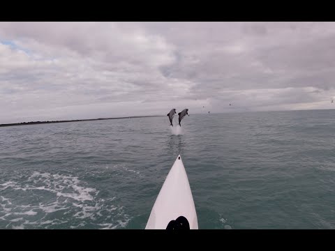 Double Dolphin Jump
